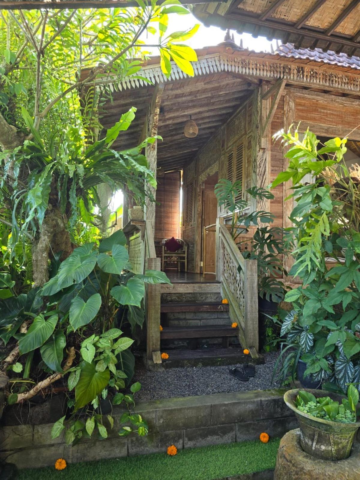 Aura Couette-café Ubud