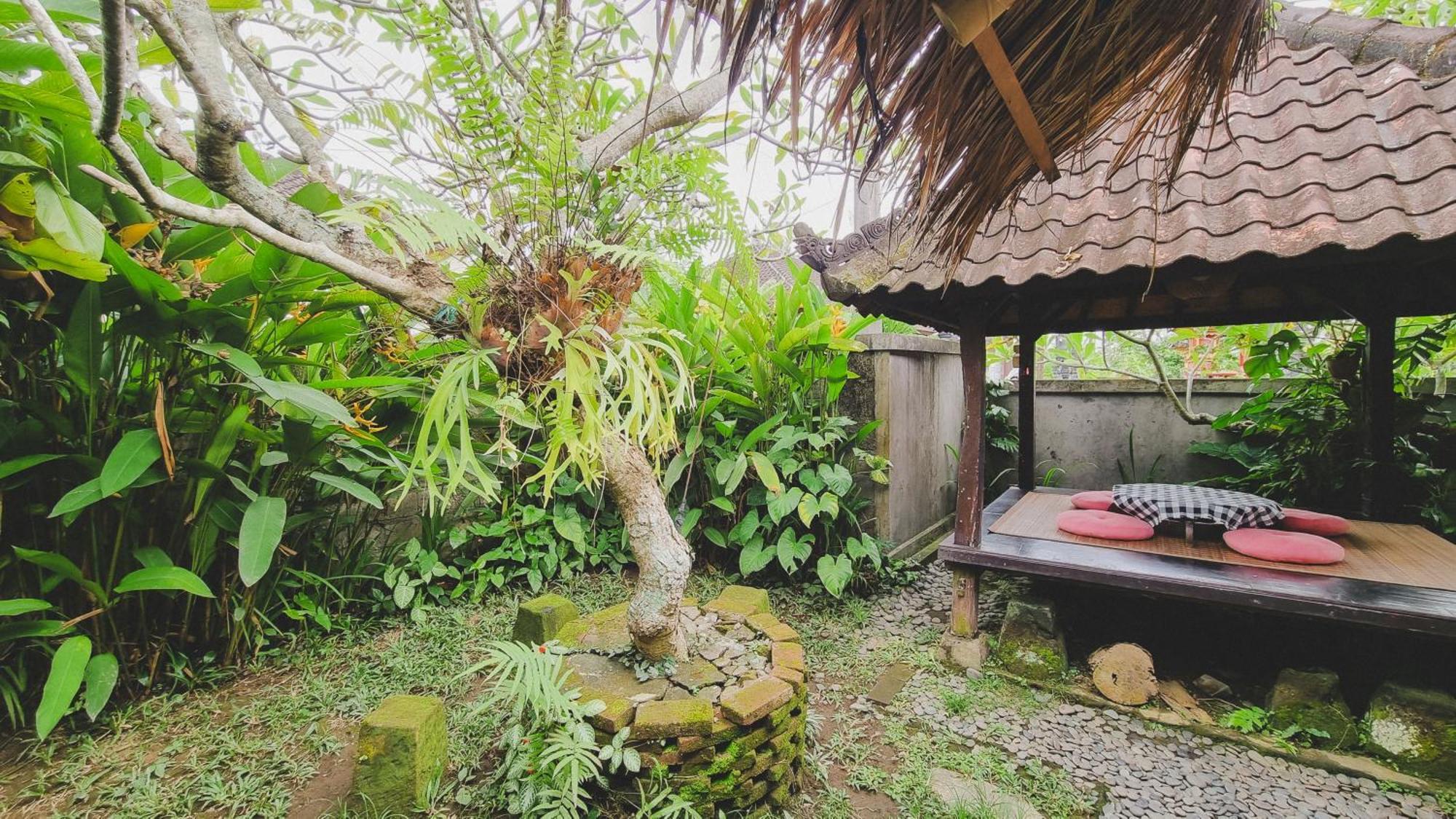 Aura Ubud
